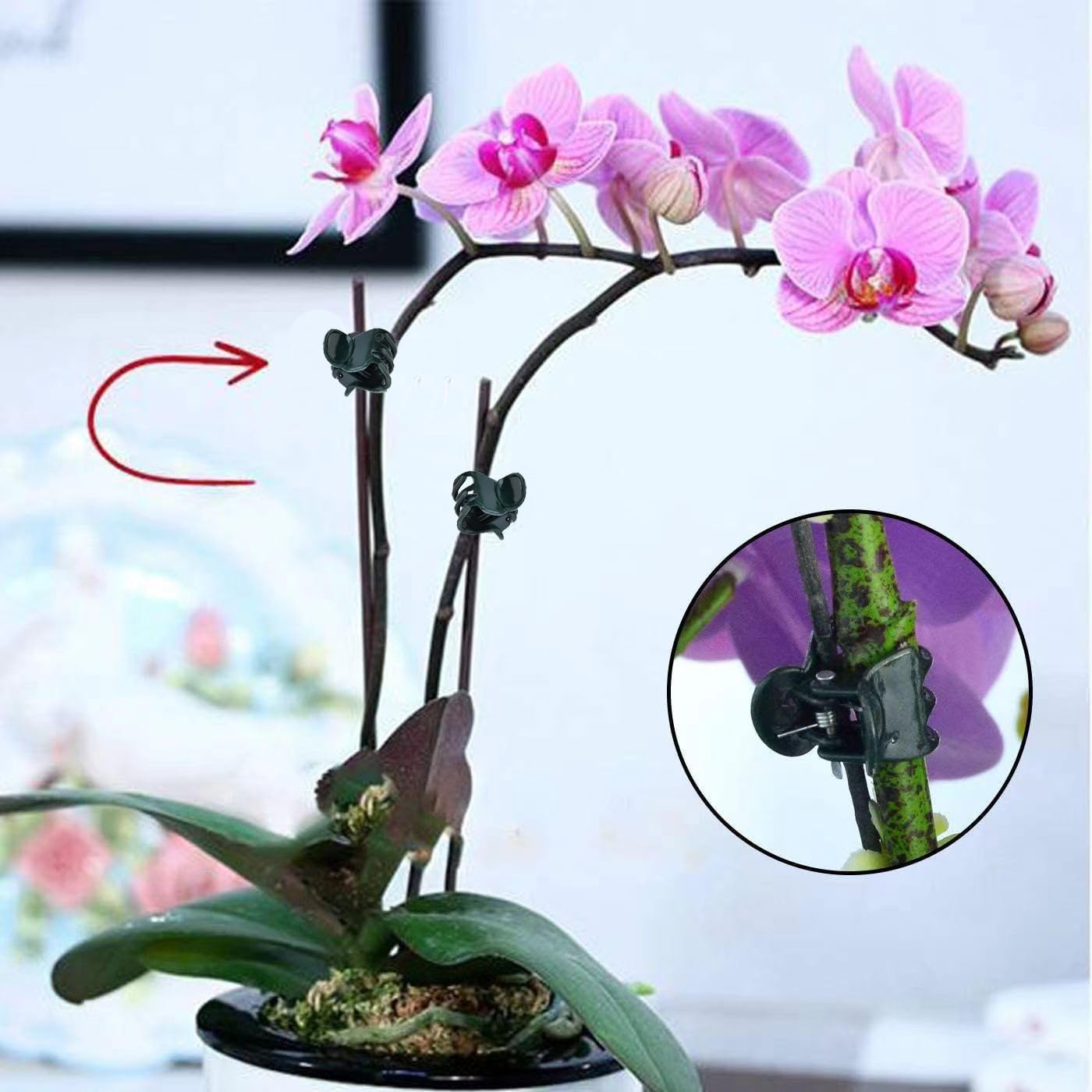 Mini clips para plantas, 100 u - Florist Supply Bulk reseña y precio