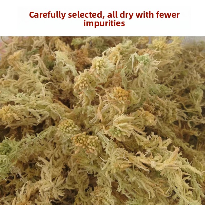 Musgo Sphagnum Seco de Grado A - Preserved Moss Sheet reseña y precio