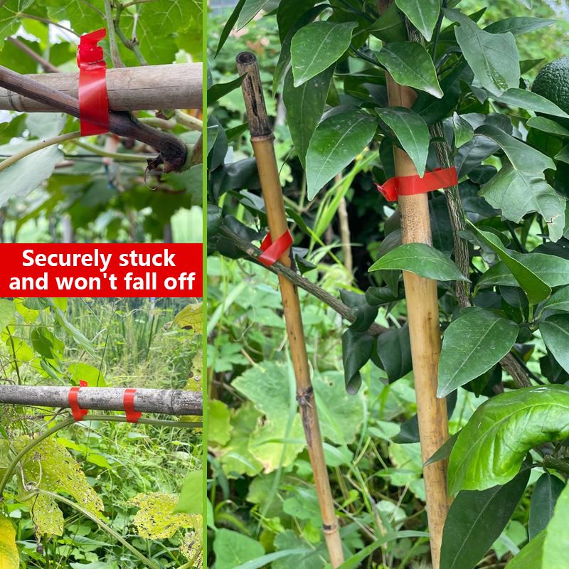 Máquina para atar plantas de j - Florist Supply Bulk reseña y precio